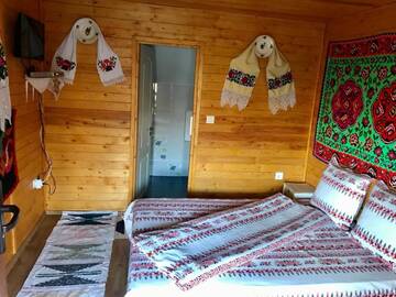 Фото номера Двухместный номер с 1 кроватью и видом на горы Лоджи Cabana Floare de Maramures г. Сигету-Мармацией 13