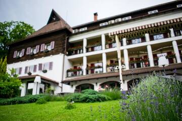 Фотографии Отель Hotel Gradina Morii г. Сигету-Мармацией (Румыния) №4 Фото Отель Hotel Gradina Morii г. Сигету-Мармацией 4