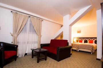Фото номера Улучшенный двухместный номер с 2 отдельными кроватями Отель Hotel Gradina Morii г. Сигету-Мармацией 7